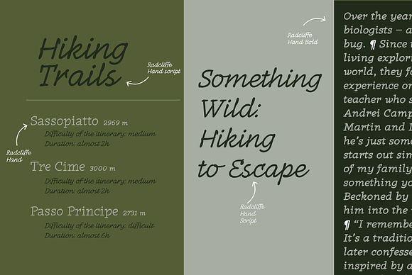 Radcliffe Hand - 7 fonts in Display Fonts - product preview 9