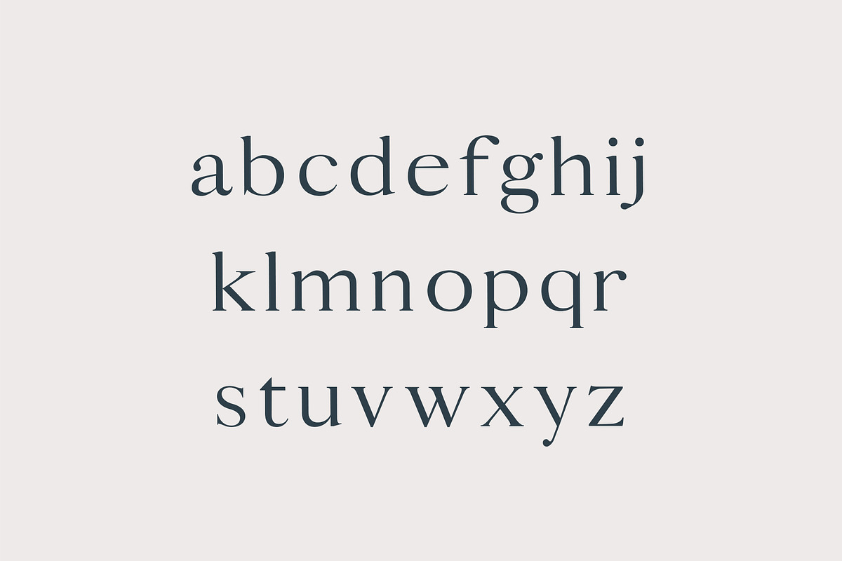 Calean Serif Font Family in Serif Fonts - product preview 8