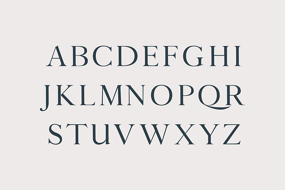 Calean Serif Font Family in Serif Fonts - product preview 1