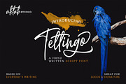 Tettingo Writing Font