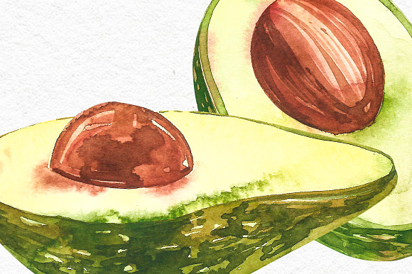 Avocado in botanical style in Illustrations - product preview 10