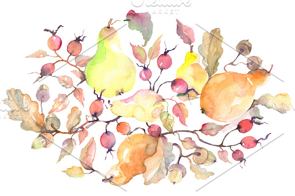 Branch of pears Watercolor png
