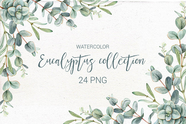 Watercolor eucalyptus collection.