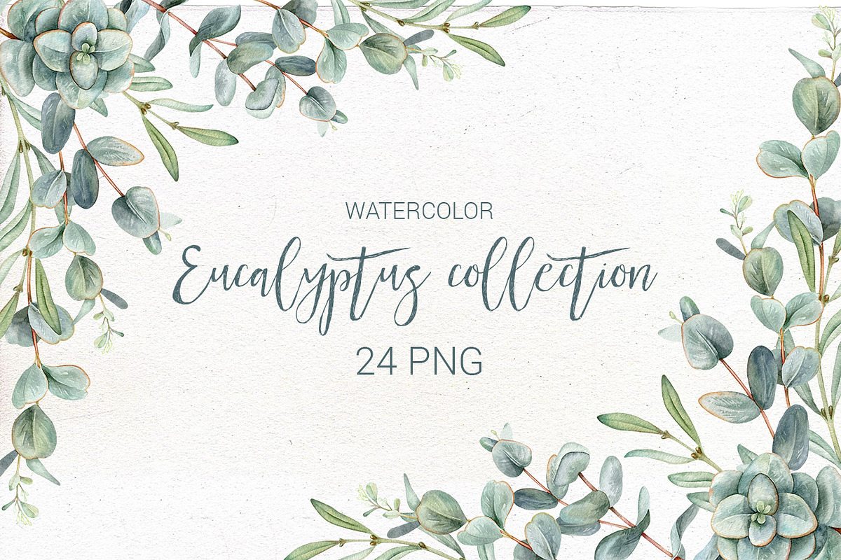 Watercolor eucalyptus collection. in Illustrations - product preview 8