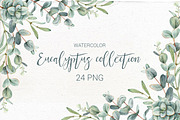 Watercolor eucalyptus collection.