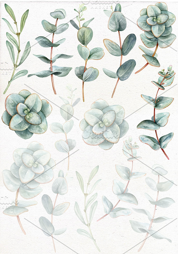 Watercolor eucalyptus collection. in Illustrations - product preview 1