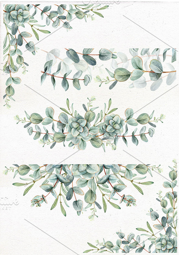 Watercolor eucalyptus collection. in Illustrations - product preview 2