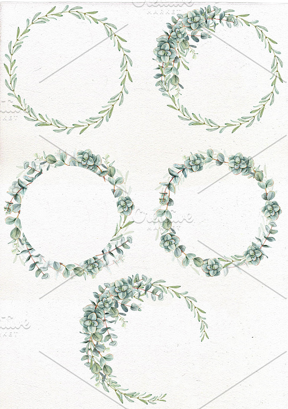 Watercolor eucalyptus collection. in Illustrations - product preview 3