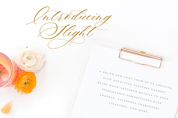 Slight, A Calligraphy Script Font in Script Fonts - product preview 1