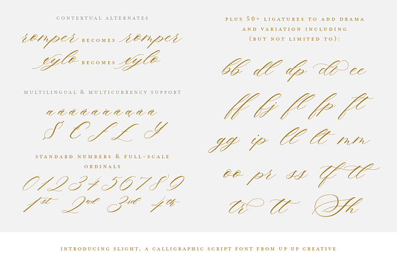 Slight, A Calligraphy Script Font in Script Fonts - product preview 3