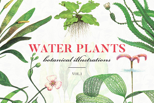 Water Plants Vol.1 30% OFF