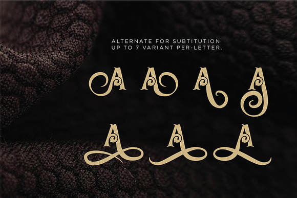 Sabrva + Extra Ornament in Blackletter Fonts - product preview 8