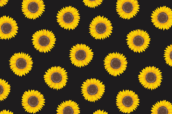 Sunflower set and seamless in Illustrations - product preview 6