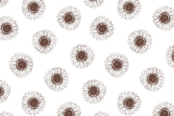 Sunflower set and seamless in Illustrations - product preview 7