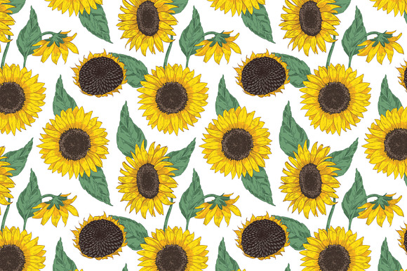 Sunflower set and seamless in Illustrations - product preview 11
