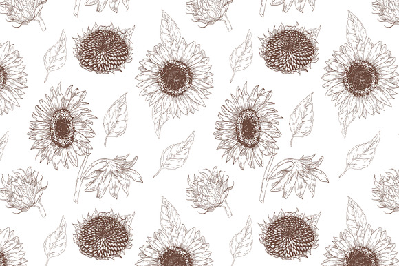 Sunflower set and seamless in Illustrations - product preview 12