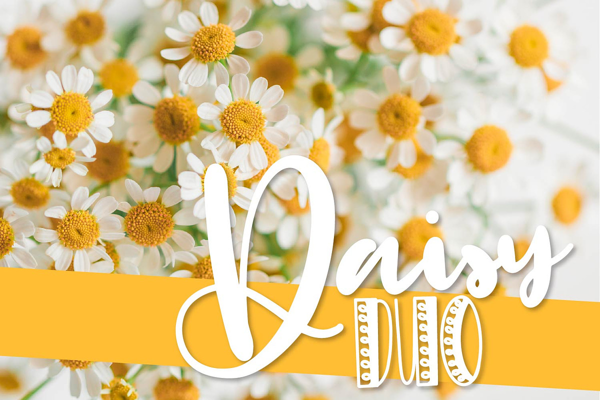 Daisy Duo - Script & Print Fonts in Display Fonts - product preview 8