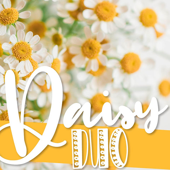 Daisy Duo - Script & Print Fonts in Display Fonts - product preview 2