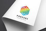 Professional Cube Logo
