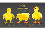 Hen chicken. Newborn little. Vector.