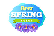 Best Spring Big Sale Advertisement