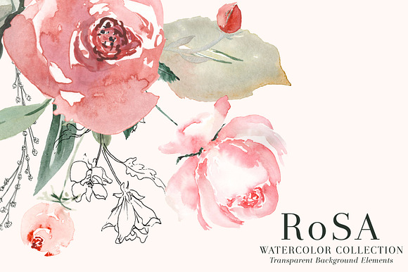 RoSA - Floral Clipart in Illustrations - product preview 2