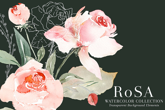 RoSA - Floral Clipart in Illustrations - product preview 8