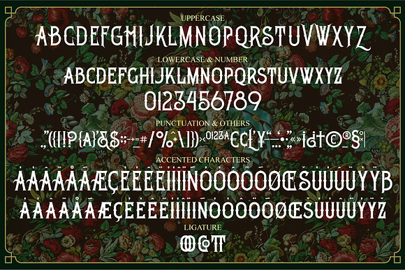 Khatulistiwa in Display Fonts - product preview 4