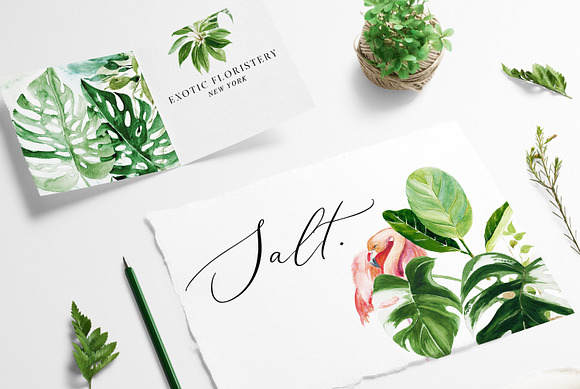 Salt. - Artful Exotic Graphics in Illustrations - product preview 12
