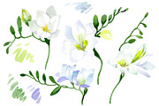 White Freesia Watercolor png