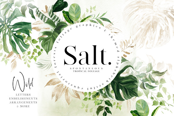 Salt. - Artful Exotic Graphics in Illustrations - product preview 18
