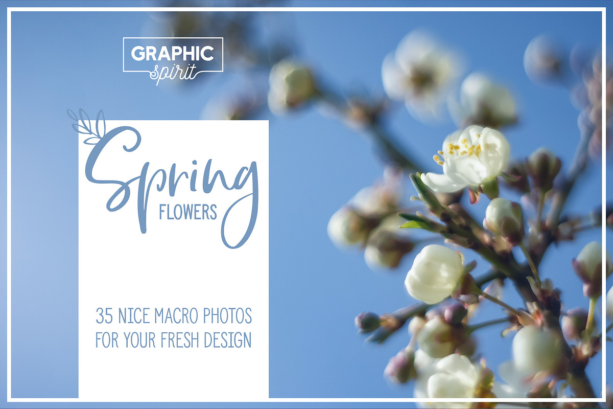 Spring Flowers Banner Backgrounds in Textures - product preview 8