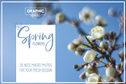 Spring Flowers Banner Backgrounds