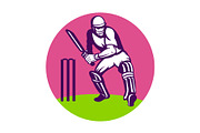 cricket batsman batting wicket