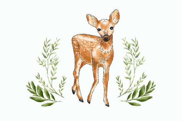 Woodland little animals clipart in Illustrations - product preview 2
