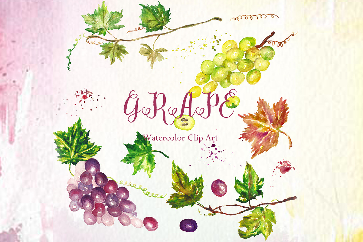 Grape watercolor Clip art in Illustrations - product preview 8