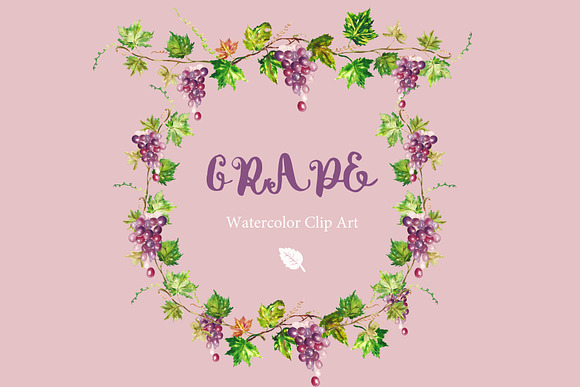 Grape watercolor Clip art in Illustrations - product preview 1