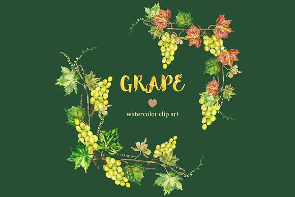 Grape watercolor Clip art in Illustrations - product preview 2