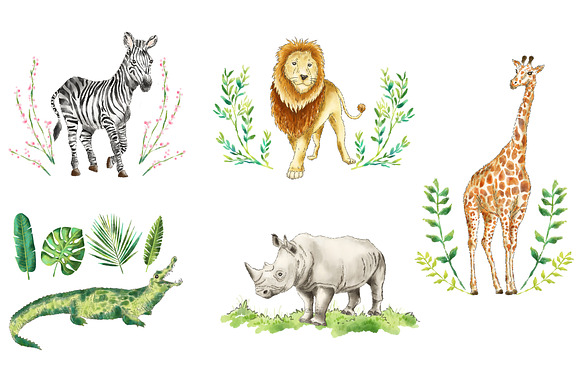 Safari Jungle African animal clipart in Illustrations - product preview 1