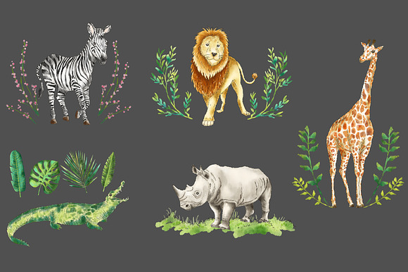 Safari Jungle African animal clipart in Illustrations - product preview 2