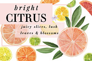 Bright Citrus