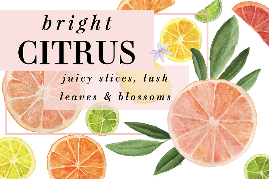 Bright Citrus in Illustrations - product preview 8