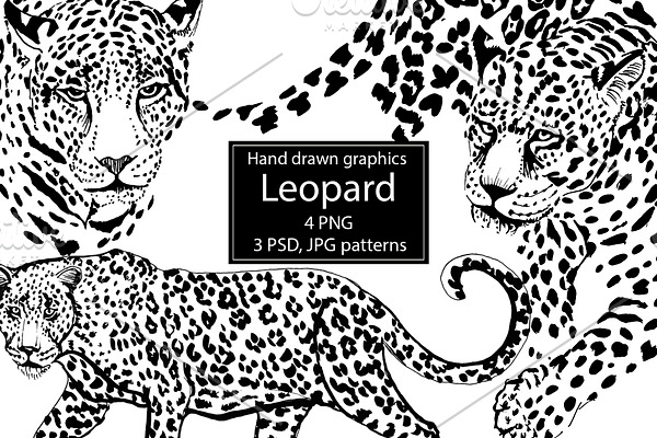 Graphic Leopard.Pattern Leopard Skin