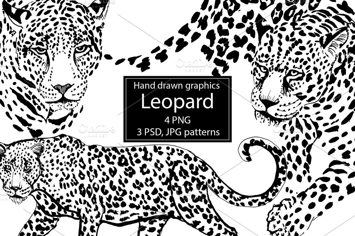 Graphic Leopard.Pattern Leopard Skin in Illustrations - product preview 8