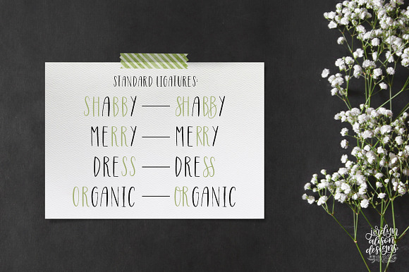 The 8 Fonts Bundle in Script Fonts - product preview 6