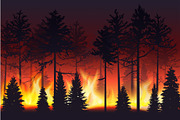 Forest fire silhouette landscape