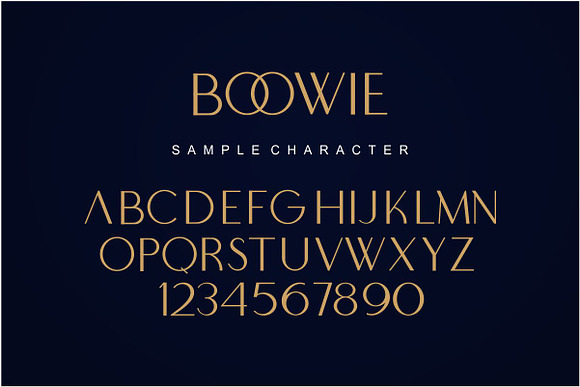 Boowie || Modern minimalist elegant. in Modern Fonts - product preview 9