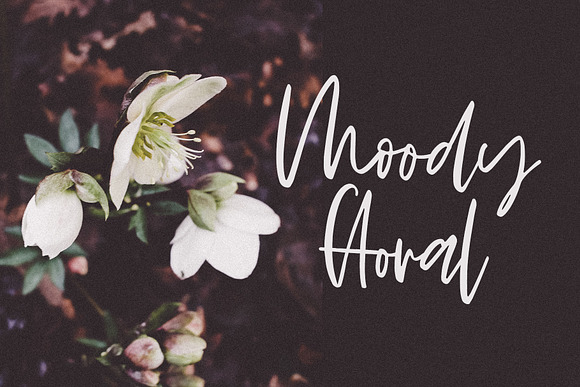 LUSH BLOOMS in Script Fonts - product preview 2