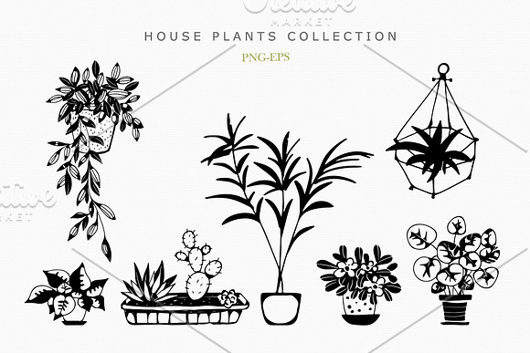 House Plants Collection in Objects - product preview 2
