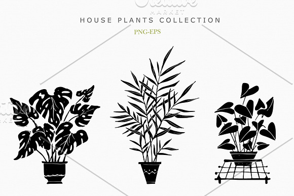 House Plants Collection in Objects - product preview 3